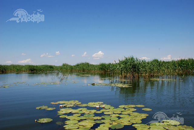 delta - peisaj-delta.jpg